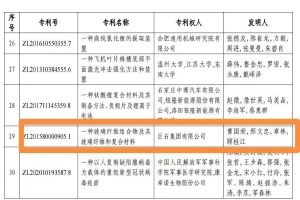 嘉兴首金！优德88集团摘得中国专利奖金奖